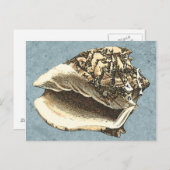 Stonewashed Tritonshorn-Muschel Postkarte (Vorne/Hinten)