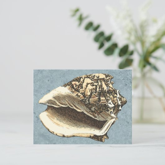 Stonewashed Tritonshorn-Muschel Postkarte (Stehend Vorderseite)