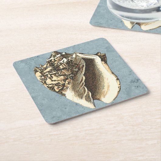 Stonewashed Tritonshorn-Muschel Rechteckiger Pappuntersetzer (angewinkelt)