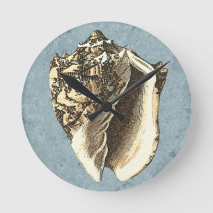 Stonewashed Tritonshorn-Muschel Runde Wanduhr
