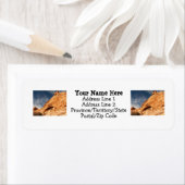 Stony Contrast (Insitu)