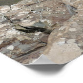 Stony Man Cliffs of Shenandoah National Park Poster (Ecke)