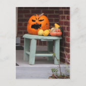 Stool Pumpkins Postkarte (Vorderseite)