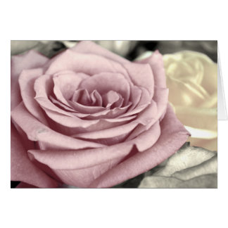 ~SToP aND SMeLL THe-Rose~