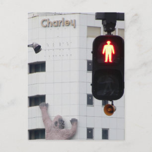 STOP Da ist ein Gorilla an der Wand! Postkarte