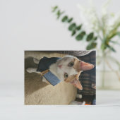 Stop Embarrassing Me! Postcard Feiertagspostkarte (Stehend Vorderseite)