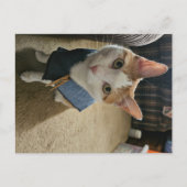 Stop Embarrassing Me! Postcard Feiertagspostkarte (Vorderseite)