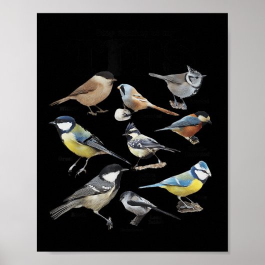Stop Staring At My Funny Birds Lover Saying Quote Poster (Vorne)