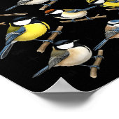 Stop Staring At My Funny Birdwatching Birds Lover  Poster (Ecke)