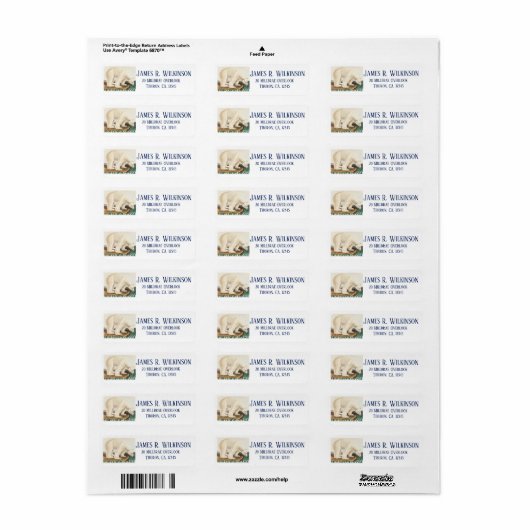 Stopp des Klimawandels gefährdeter arktischer Eisb (Vorne)