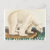 Stopp des Klimawandels gefährdeter arktischer Eisb Postkarte (Vorderseite)