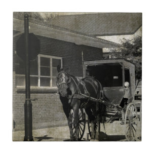Stopp für einen Zauber, Amish Pferd am Stoppschild Fliese