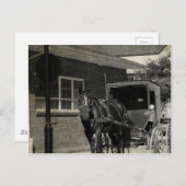 Stopp für einen Zauber, Amish Pferd am Stoppschild Postkarte (Vorne/Hinten)