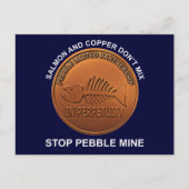 Stopp Pebble Mine - Pebble Mine Penny Postkarte (Vorderseite)