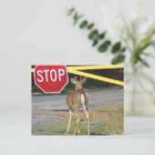 Stopp Postkarte (Stehend Vorderseite)