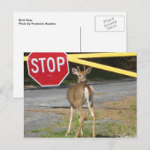 Stopp Postkarte (Vorne/Hinten)
