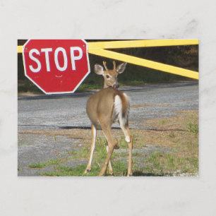Stopp Postkarte