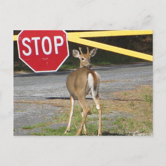 Stopp Postkarte (Vorderseite)
