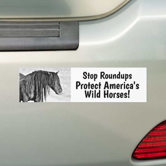 Stopp Wild Horse Roundups Autoaufkleber (Auf Auto)