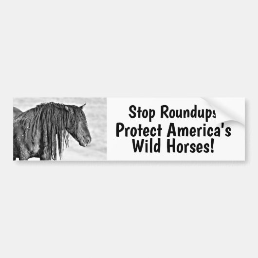 Stopp Wild Horse Roundups Autoaufkleber (Vorne)