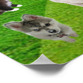 Stoppen des Tiermissbrauchs-Poster Poster (Ecke)