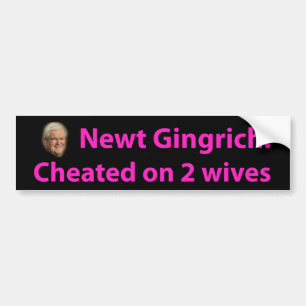 Stoppen Sie Newt Gingrich! Autoaufkleber