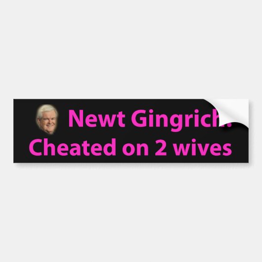 Stoppen Sie Newt Gingrich! Autoaufkleber (Vorne)