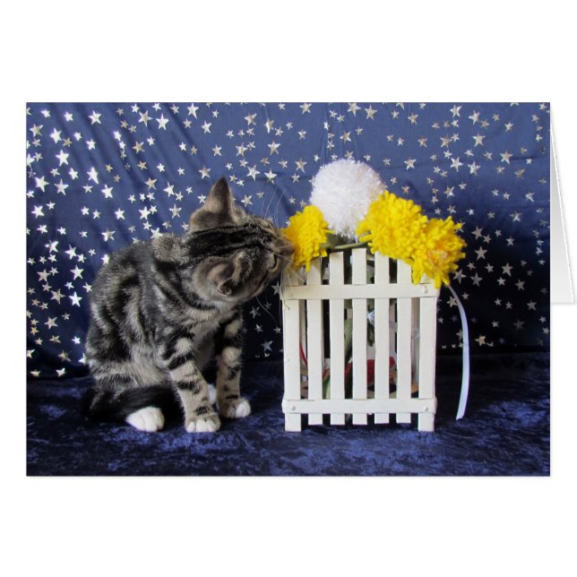 Stoppen Sie und riechen Sie die Blumen (Lilo) (Vorderseite (Horizontal))