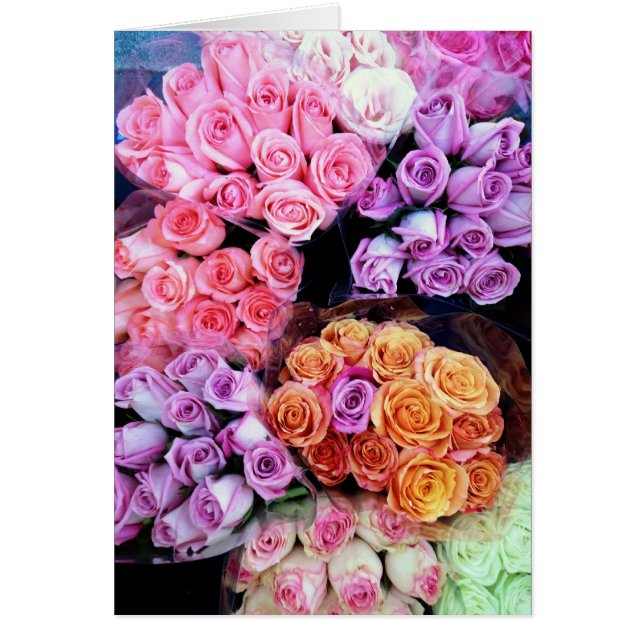Stoppen Sie und riechen Sie die Rosen (Vorne)