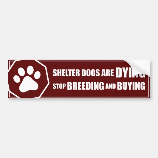 "Stoppen Sie zu züchten und zu kaufen " Autoaufkleber (Vorne)