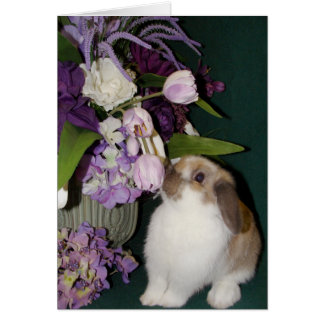 Stoppen und riechen Sie die Blume 4