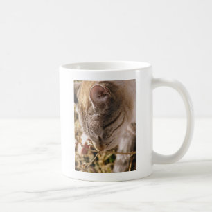Stoppen und riechen Sie die Blume Kaffeetasse