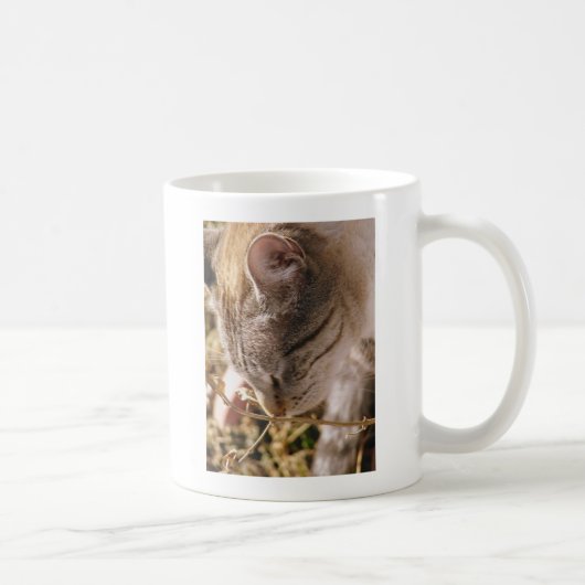 Stoppen und riechen Sie die Blume Kaffeetasse (Rechts)