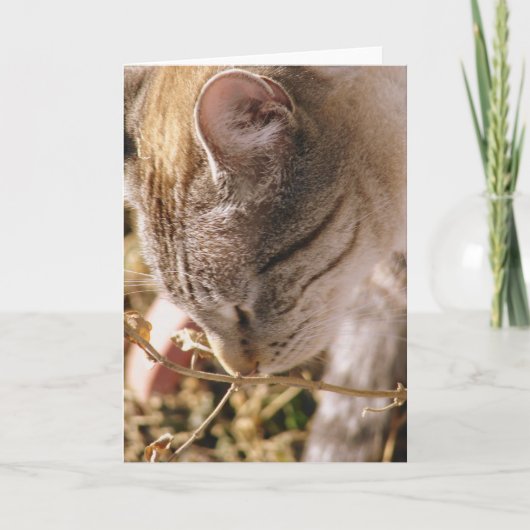 Stoppen und riechen Sie die Blume Karte (Vorderseite)