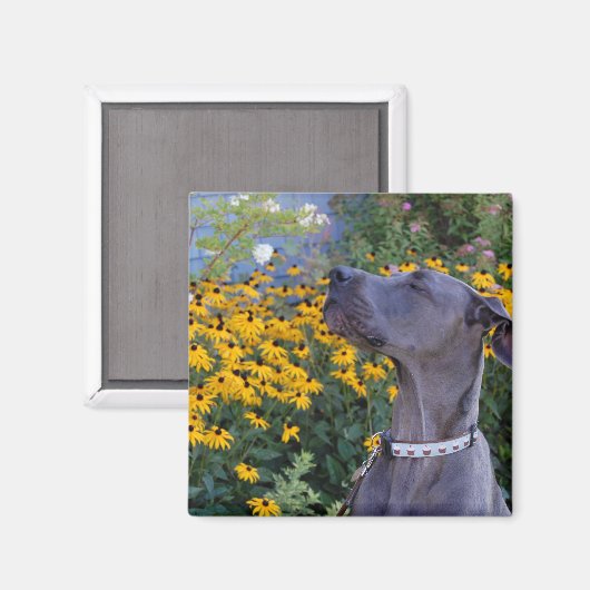 Stoppen und riechen Sie die Blume Magnet (Vorderseite/Rückseite)