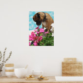 Stoppen und riechen Sie die Blume Poster (Küche)