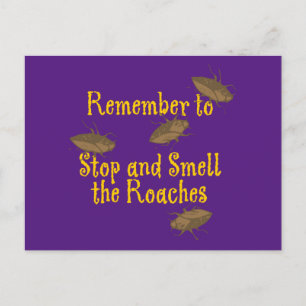 Stoppen und riechen Sie die Roaches Lila BG Postkarte