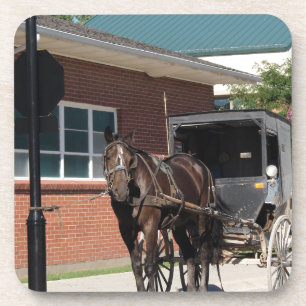 Stoppt für einen Zauber, Ein Amigisches Pferd an S Getränkeuntersetzer