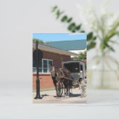 Stoppt für einen Zauber, Ein Amigisches Pferd an S Postkarte (Stehend Vorderseite)