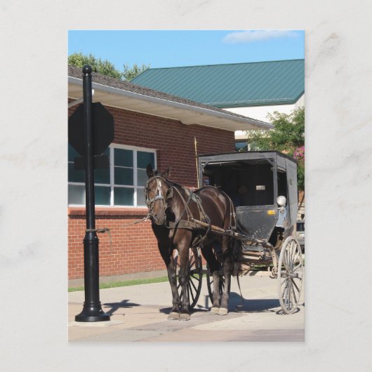 Stoppt für einen Zauber, Ein Amigisches Pferd an S Postkarte (Vorderseite)