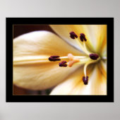 Stoppuhr-Blume-Poster Poster (Vorne)