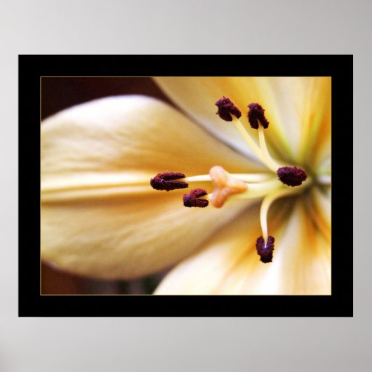 Stoppuhr-Blume-Poster Poster (Vorne)