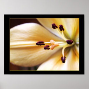 Stoppuhr-Blume-Poster Poster