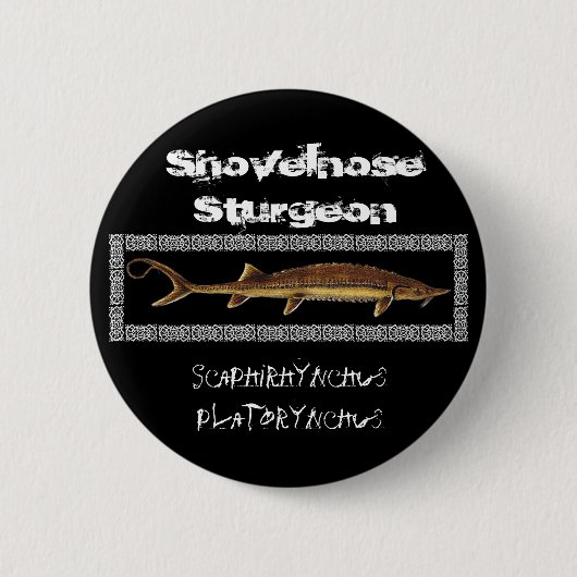 Stör-Knopf - Shovelnose Stör Button (Vorderseite)
