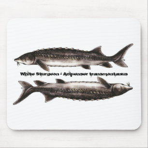Stör-Mausunterlage - weißer Stör Mousepad