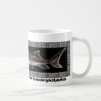 Stör-Tasse - weißer Stör