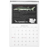 Stör von Kalender Nordamerikas 2010 (Mär 2027)
