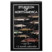 Stör von Kalender Nordamerikas 2010 (Titelbild)