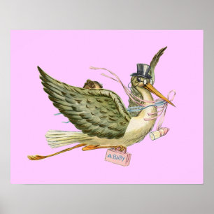 STORCH BABY MÄDCHEN SHOWER ,creme Poster