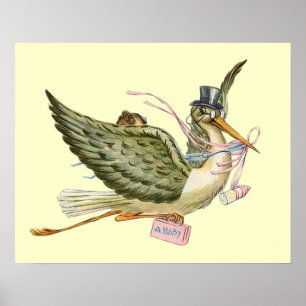 STORCH BABY MÄDCHEN SHOWER ,creme Poster